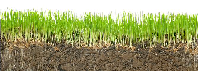 Stop - «» - Dig In! Learn About Dirt (668x252), Png Download