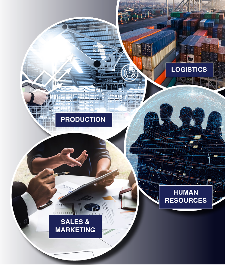 Bolas - Mother Ship (748x881), Png Download