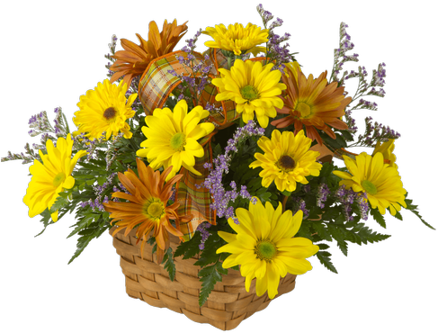 Autumn Daisies - Royer's Flowers & Gifts (500x611), Png Download