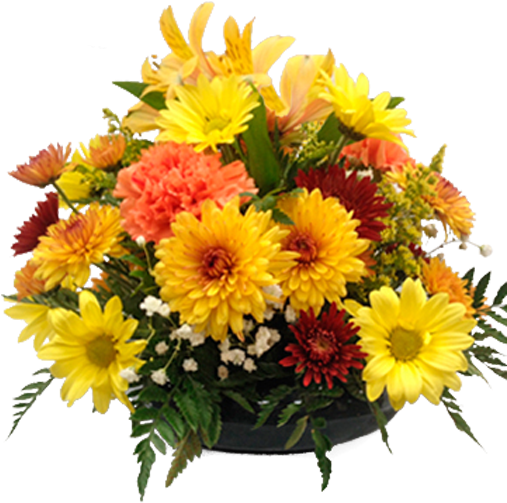 All Around Autumn - Flower (600x600), Png Download