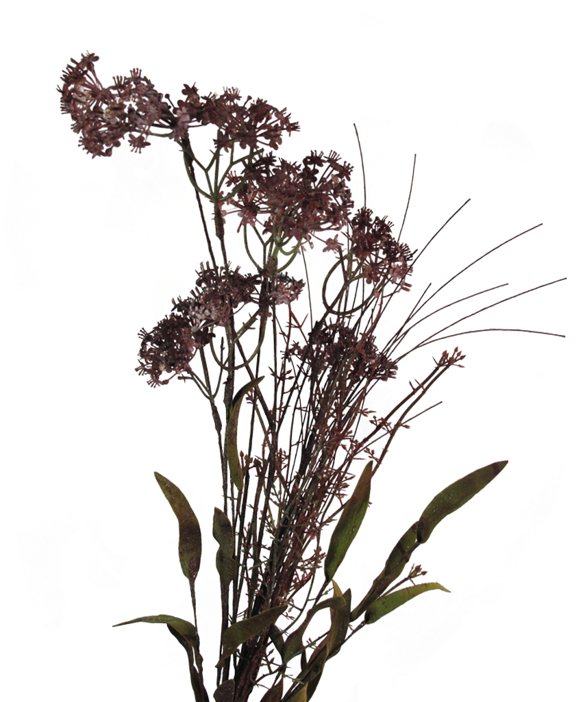 Meadow Flowers Png (1024x1024), Png Download
