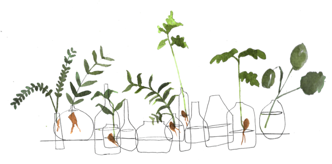 Intro-s2 - Plants (1000x701), Png Download