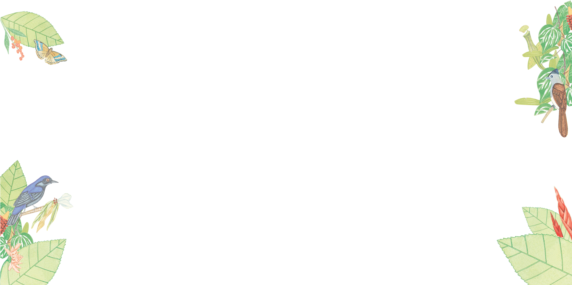 Boh Tea Plantation In Cameron Highlands - Skateboard Deck (1920x1080), Png Download