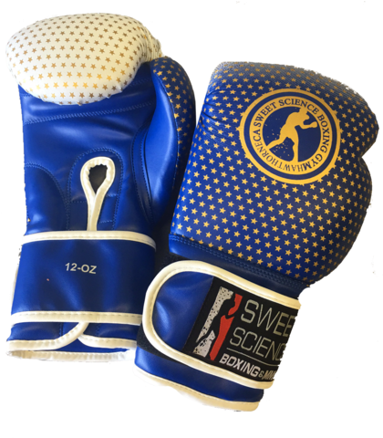 Sweet Science Boxing Gloves Vinyl - Boxing (428x480), Png Download
