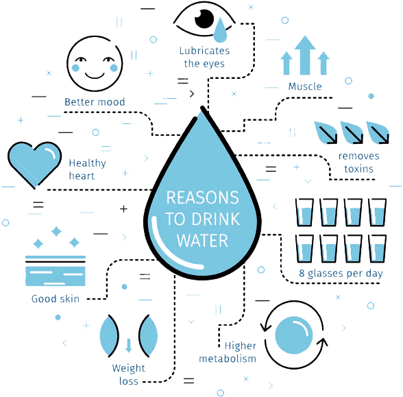 4) Water Helps To Purge Toxins From The Blood Which - Reason For Drink Water (593x596), Png Download
