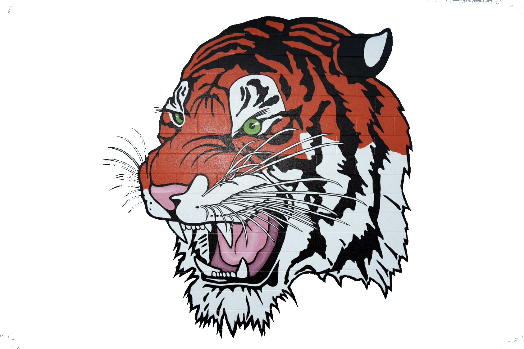 Transparent Background Tiger Clipart (2000x1124), Png Download