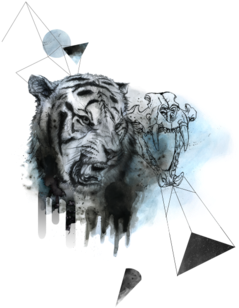 Tiger Roar - Illustration (674x518), Png Download