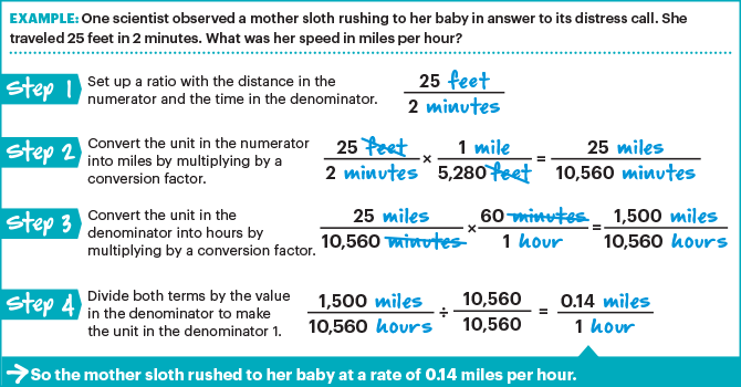 Article Section Image - Would Take A Sloth 130 Minutes S Per Hour (670x350), Png Download