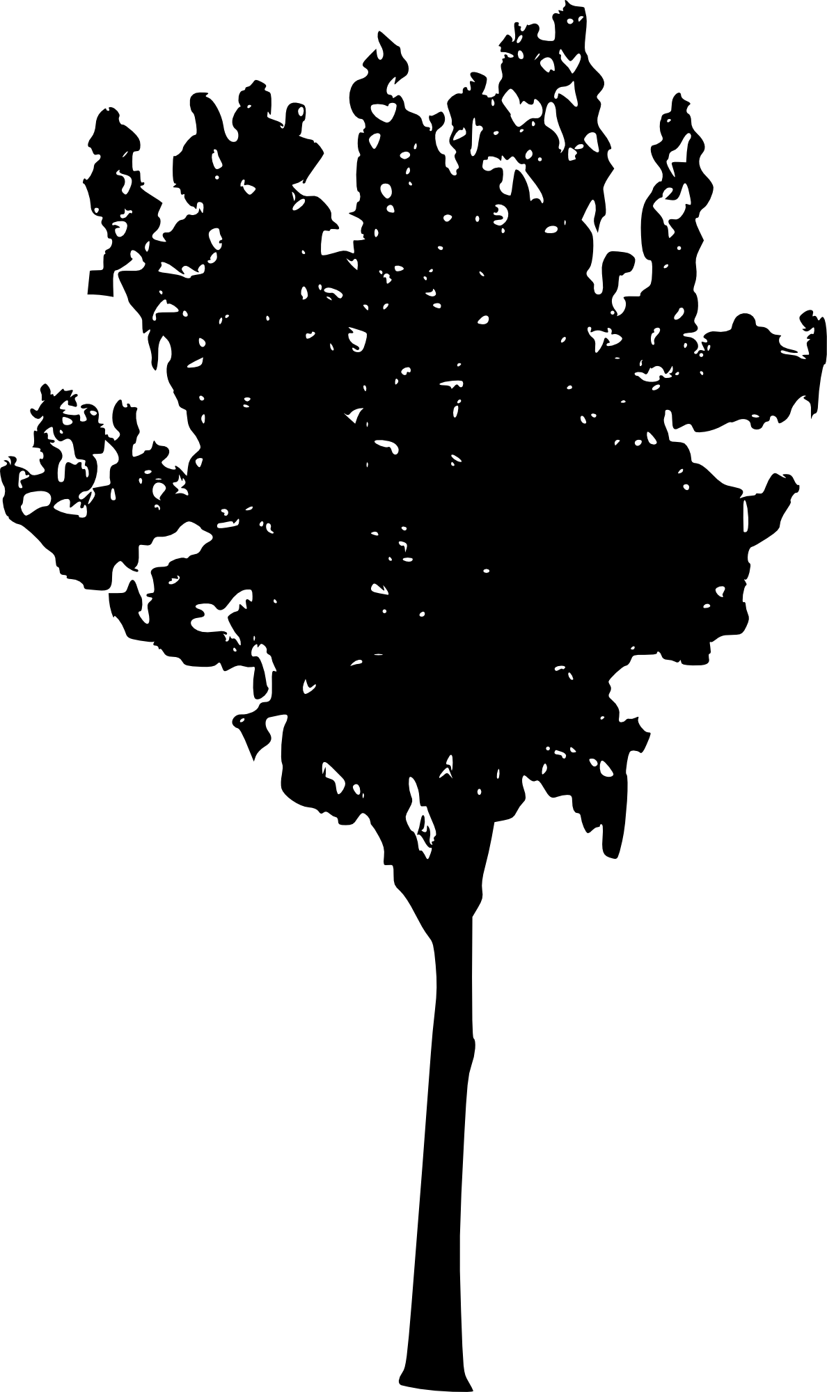 45 Tree Silhouettes Png Transparent Background - Portable Network Graphics (1188x2000), Png Download