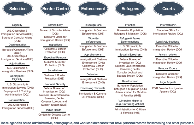 Major Federal Immigration Responsibilities - Immigration (850x559), Png Download