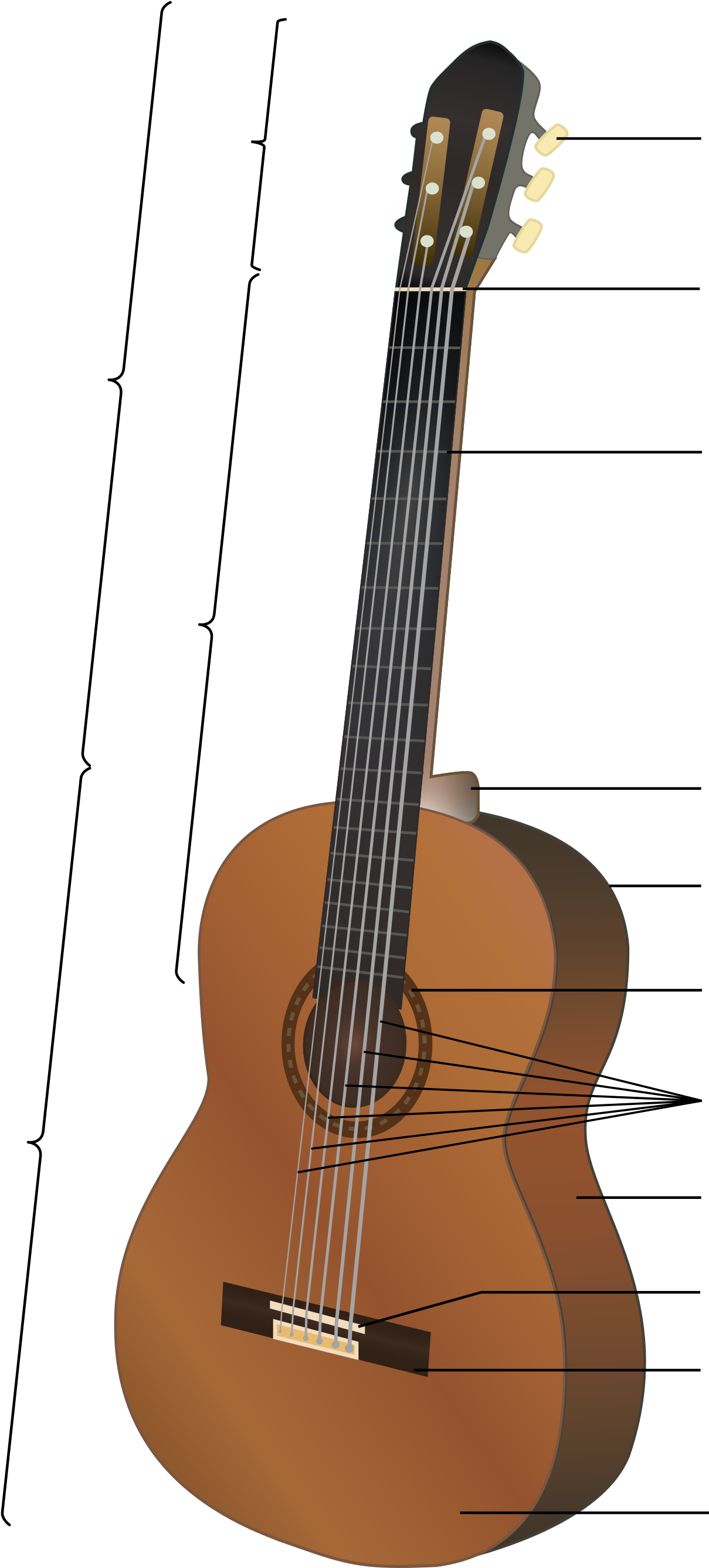 Open - Gitarın Bölümleri Ve Özellikleri (2000x2754), Png Download