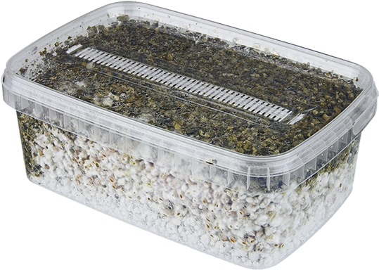 Grow Kits - Mushroom Filter Box (856x698), Png Download
