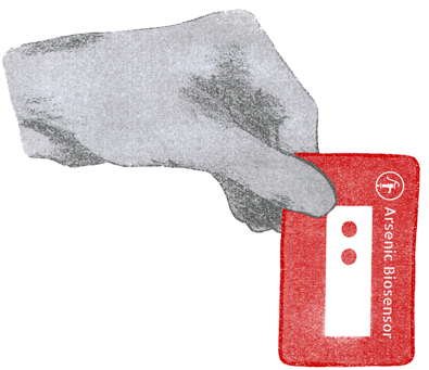 Arsenic Biosensor (400x347), Png Download