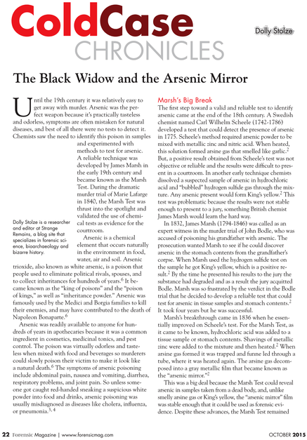 The Case Of Marie Lafarge And How An Arsenic Mirror - Text Page - Holy Land - The Necropolis (495x665), Png Download