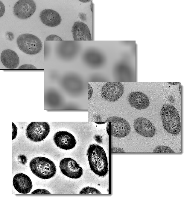 Four Images From Top To Bottom Showing The Original - Monochrome (615x656), Png Download