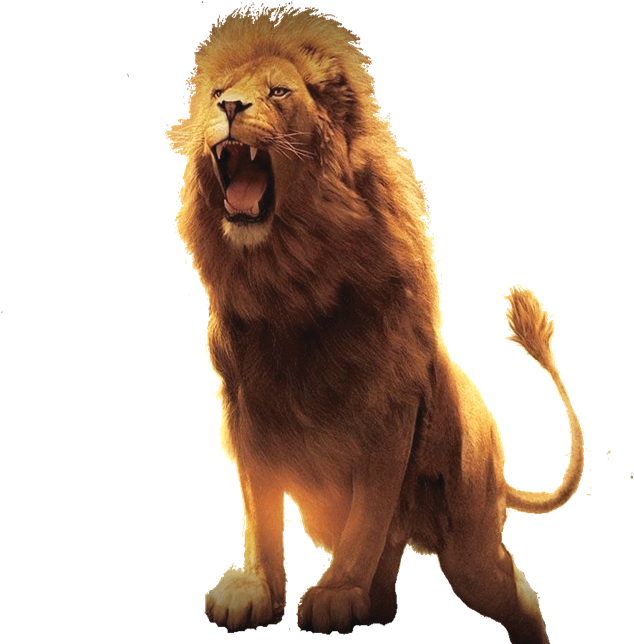 Modern Day “lion Of The Tribe Of Judah” - There Will Always Be People In Your Life Who Treat (732x656), Png Download