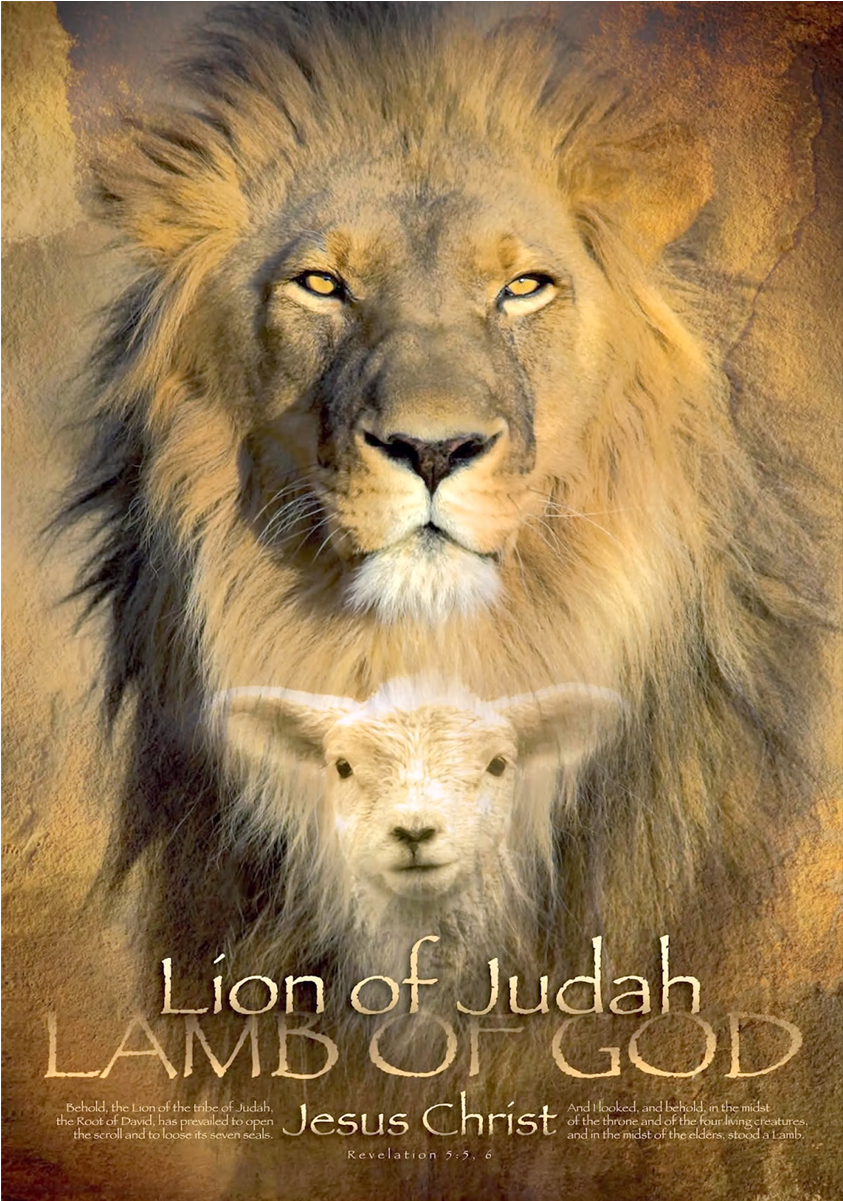 Lion Of Judah Wall Art - Lion Of Judah Lamb Of God (1200x1200), Png Download