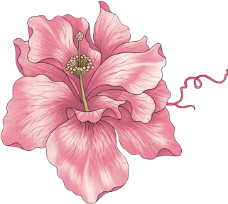 Flores Vintage (467x291), Png Download