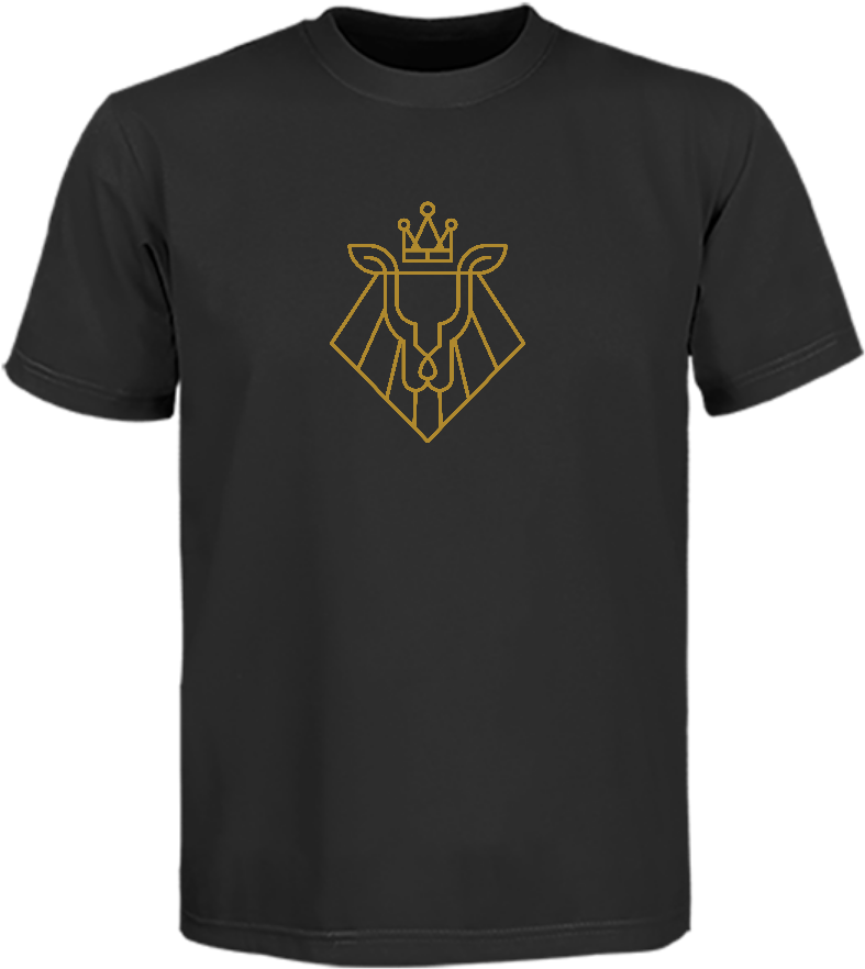 Lion Of Judah - Ran Online T Shirt (900x1200), Png Download
