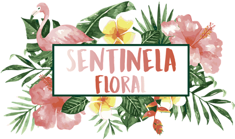 Gil My Bemy Escritos Png Flores Folhas Sentinelafloral - Watercolor Painting (500x302), Png Download