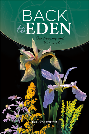 Back To Eden (600x600), Png Download