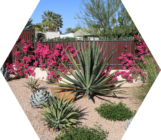 Landscaping - Rock Landscaping In Phoenix (544x471), Png Download