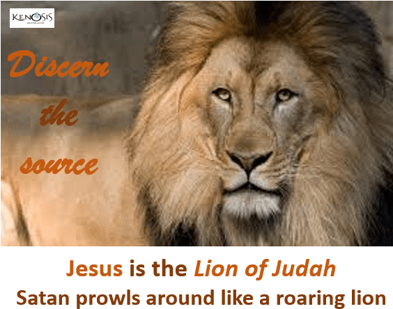 Lion - - Discern - Bold As A Lion (563x450), Png Download