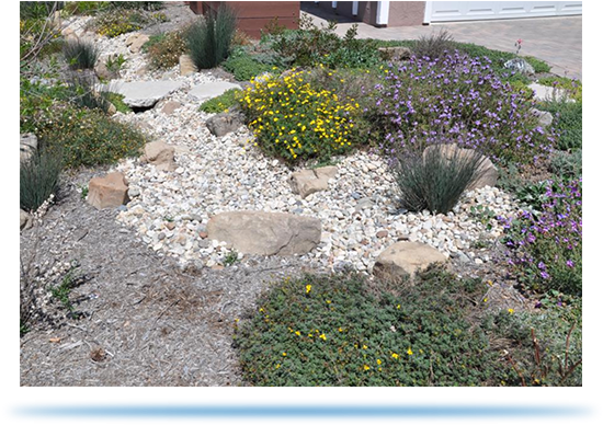 Sustainable Gardening Tips - La Dwp Garden (604x414), Png Download