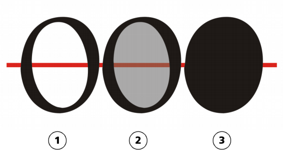 1) La Letra "o" Se Convierte A Curvas. 2) Los Subtrayectos - Jak Połączyc Litery W Corelu (563x300), Png Download