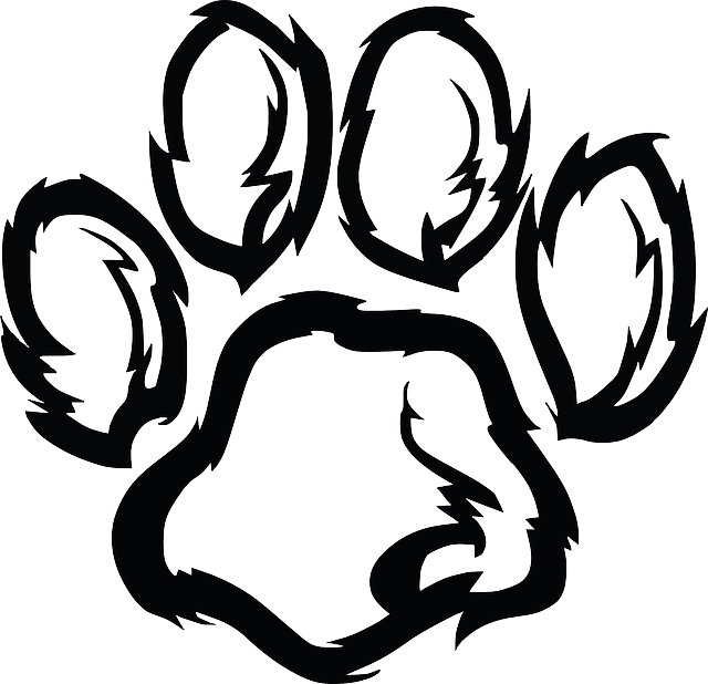3 Basic Dog Training Tips Every Pet Owner Should Train - Wildcat Paw Print Png (640x618), Png Download