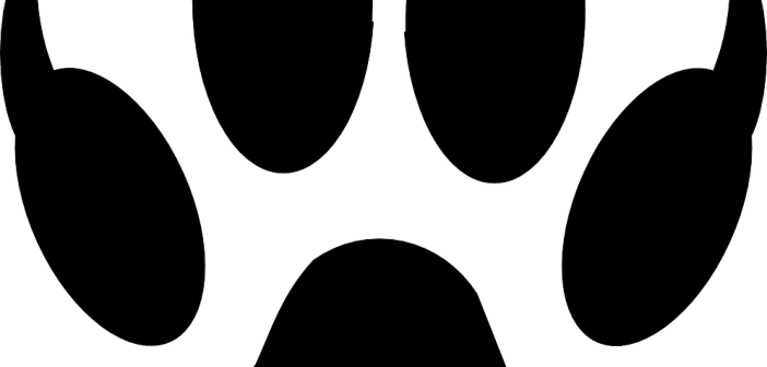 Dog (702x336), Png Download