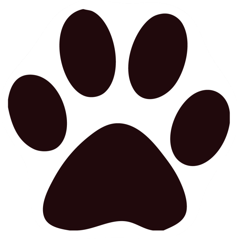 Black Cat Images - Cat Paw Png (800x800), Png Download