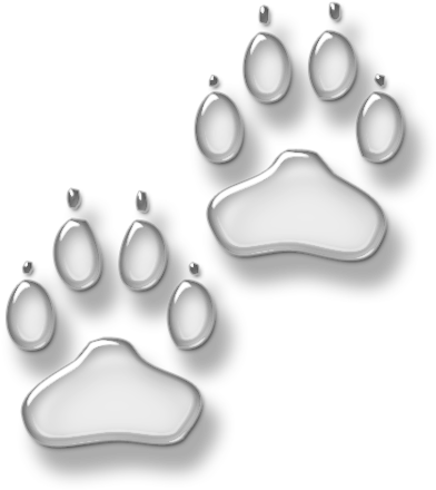 White Dog Paw Print Png For Kids - White Paw Print Transparent Background (480x480), Png Download