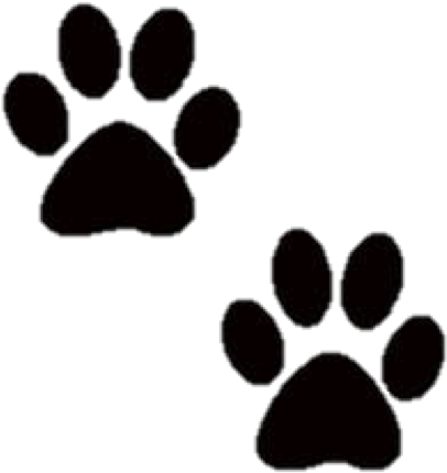 Check Ou - Handmade Pet Sympathy Cards (625x625), Png Download