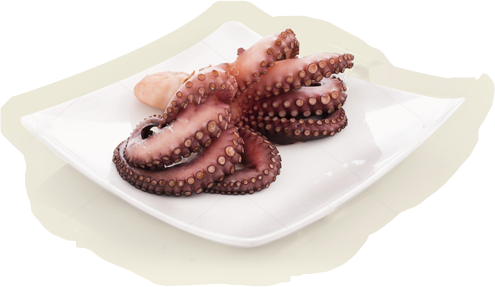 Polvo A Grécia É Reconhecida Por Ter O Melhor Polvo - Octopus (495x287), Png Download