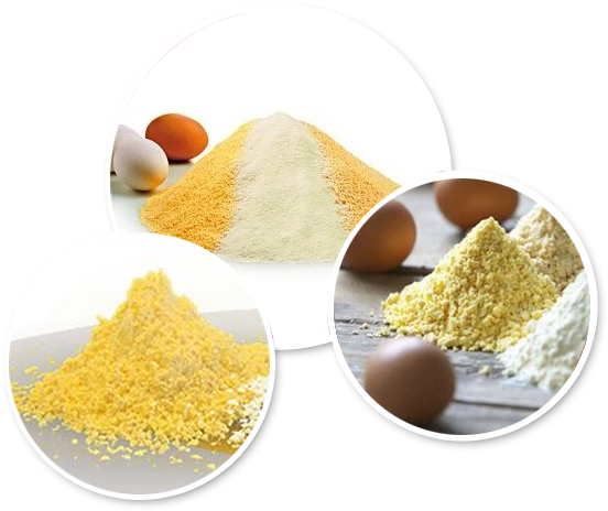 Huevo Pasteurizado Deshidratado (573x505), Png Download