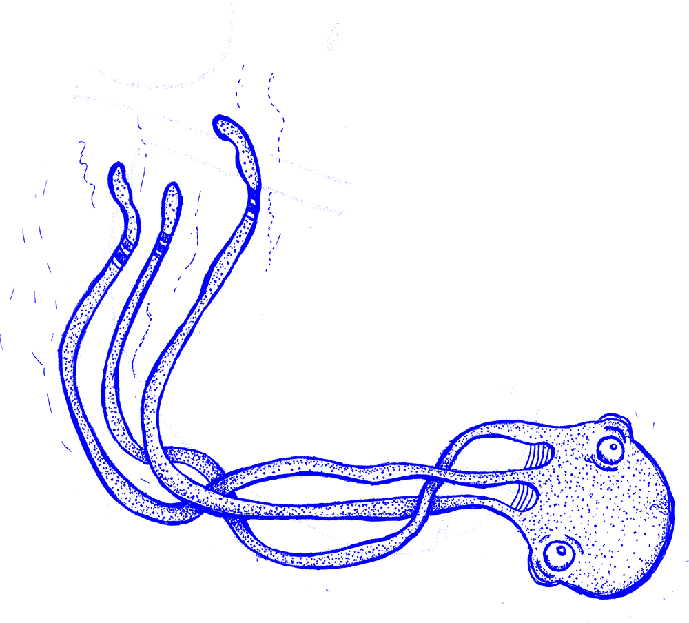 Polvo - Illustration (1000x904), Png Download