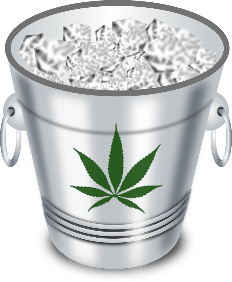 Ice-bucket - Ice Bucket Challenge Png (800x972), Png Download