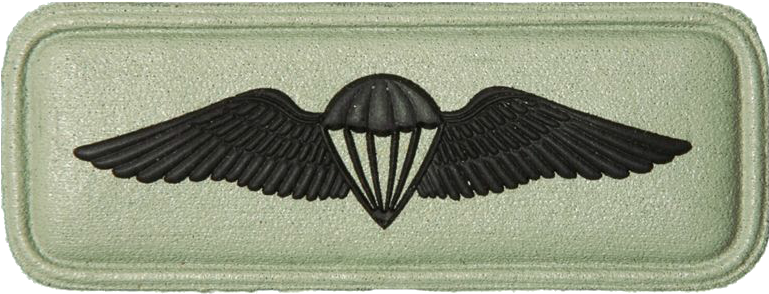 Sandf Qualification Paratrooper Basic Badge Embossed - Sandf Paratrooper Badge (793x302), Png Download