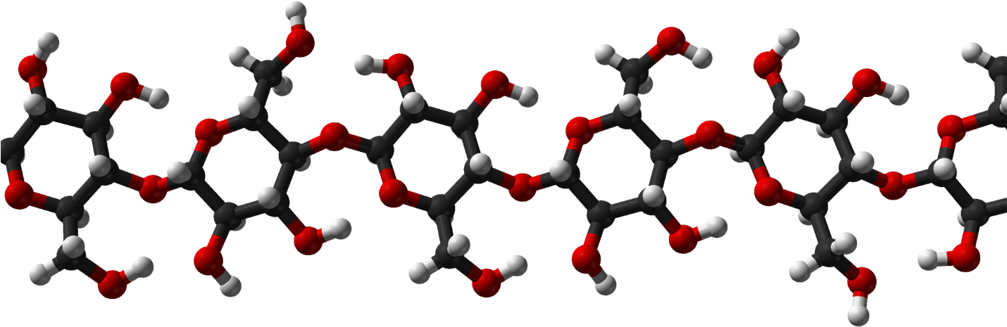 Carbohydrates - Ball And Stick Model Of Starch (1429x534), Png Download