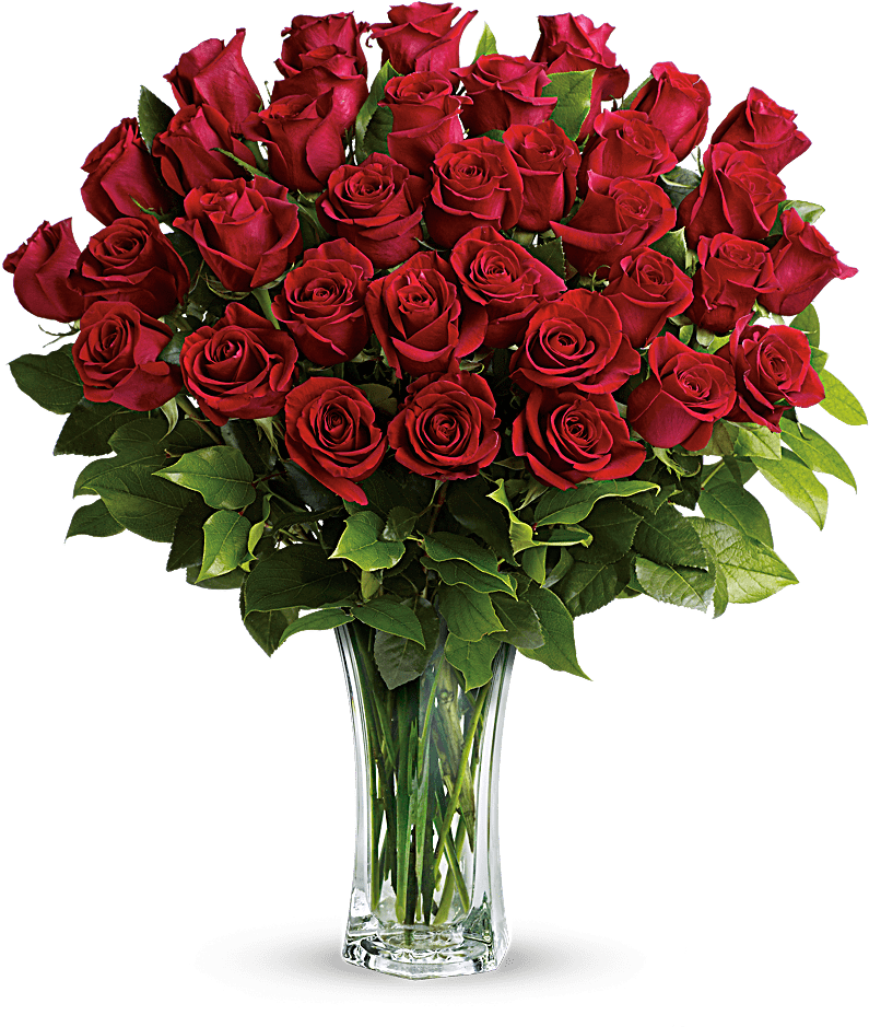36 Long Stemmed Red Roses - Flowers - Love And Devotion (800x1000), Png Download