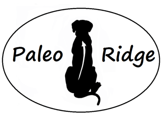 Home - Rhodesian Ridgeback Silhouette (600x601), Png Download