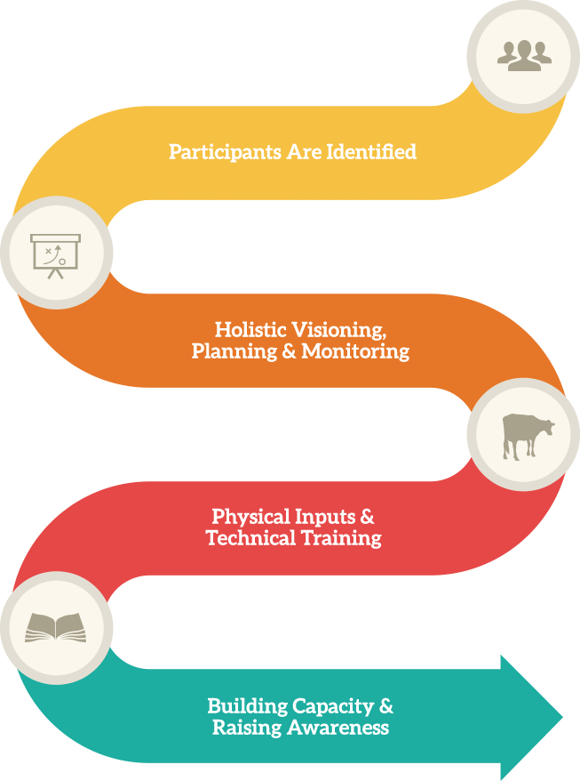 Project Timeline - Project Appraisal Framework (653x878), Png Download