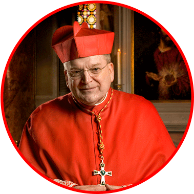 Burke - Cardinale Burke (400x400), Png Download