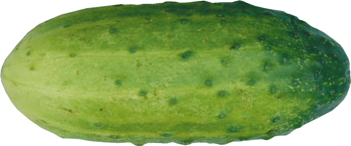 Cucumber Clipart Png Cucumber Clipart - Cucumber (1280x720), Png Download