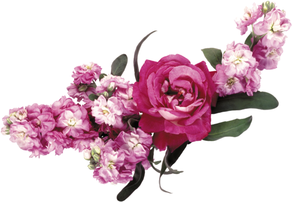 Feliz Dia De Las Madres Mis Amigas - Цветы Для Фотошопа Png (600x421), Png Download