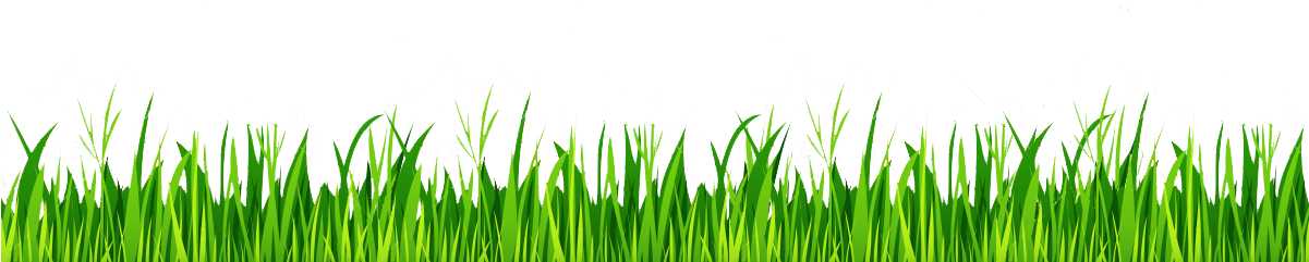 How To Use A Full Width Image As Border Between Content - Grass White Background (1200x250), Png Download