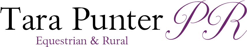 Horse Head Silhouette Pendant - Illustration (895x200), Png Download