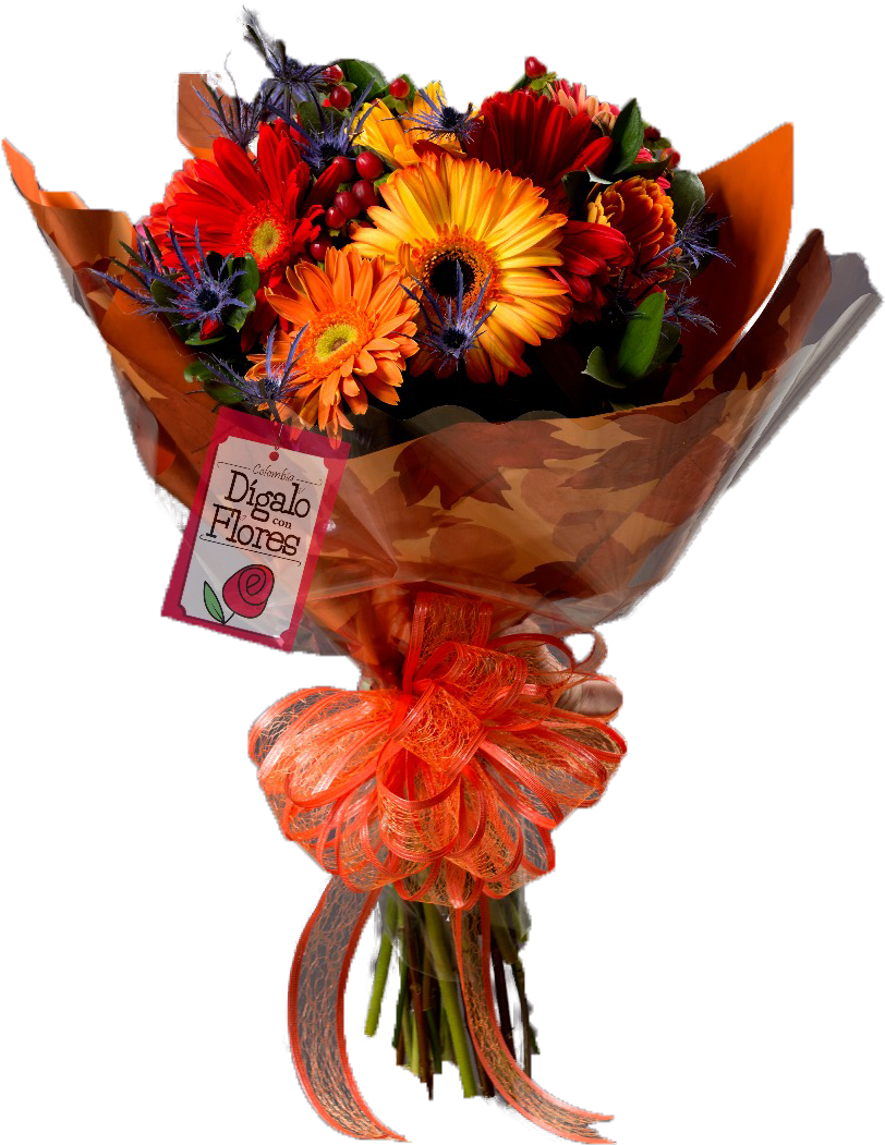 ¡hola Gracias Por Visitarnos - Flower (951x1280), Png Download