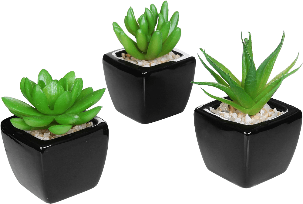Details - Small Green Fake Plants (400x400), Png Download